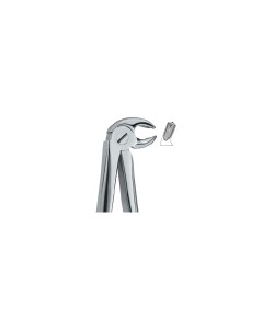 Lower Molars, Right 23